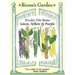  Renees Garden Seeds   Bean, Pole Tricolor Patio, Lawn 