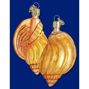  Old World Christmas Ornament Conch Shell