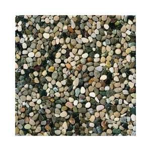 Riverstone Brenta 12 x 12 Stone Pebble Mosaic Tile