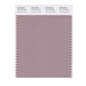  PANTONE SMART 16 1707X Color Swatch Card, Deauville Mauve 