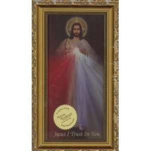    Divine Mercy Picture Framed (RG 1C1)   8 x 16