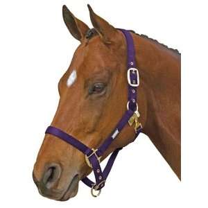  ROMA Classic Adjustable MINI Horse Halter with Snap 