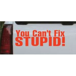 You Cant Fix Stupid Window, Wall or Laptop Decal    Red 32in X 10.4in 