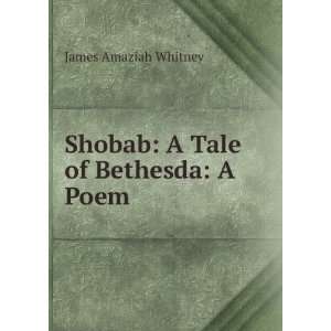  Shobab A Tale of Bethesda A Poem James Amaziah Whitney Books