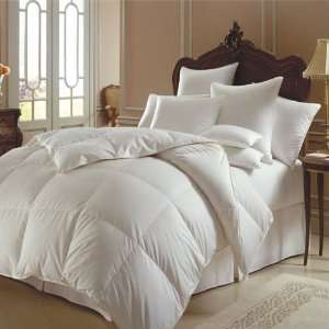   Hypo Allergenic Polish White Goose Down Comforter   All Year Weight