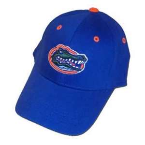  Florida Gators Royal Blue Toddler 1Fit Hat Sports 