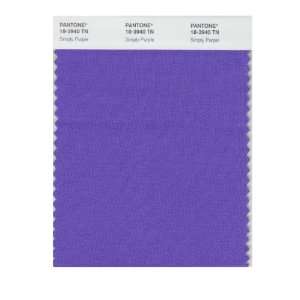  Pantone 18 3940 Nylon Brights Color Swatch Card