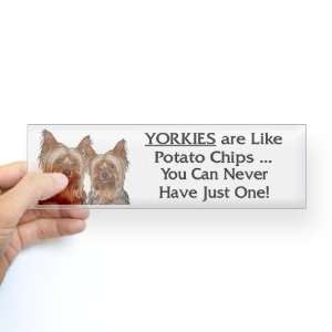  Yorkies   You Cant Have Just One Sticker Pets Bumper 