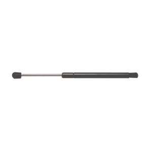  Strong Arm 4519 Trunk Lid Lift Support Automotive