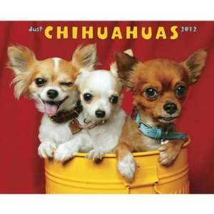  Just Chihuahuas 2012 Wall Calendar