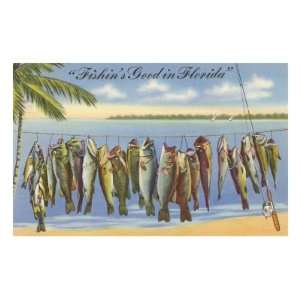  Fishins Good in Florida Premium Poster Print, 16x24