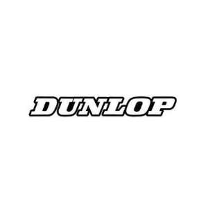   Effex Generic Fork and Swingarm Stickers   Dunlop   White 02 7069