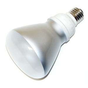  TCP 23014 2R3014 14W R30 FLOOD CFL 27K