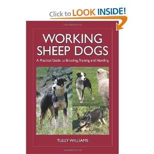  Working Sheep Dogs A Practical Guide to Breeding 