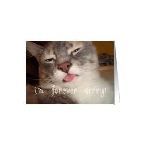  Apology I`m Sorry Humor Animal Funny Cat Pet Card Health 