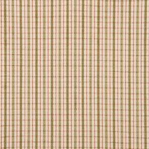  9940 Belton in Antique by Pindler Fabric