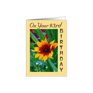  On Your 93rd Birthday Card Toys & Games
