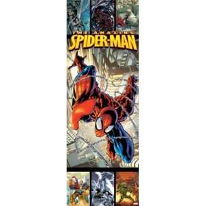  The Amazing Spider Man Door Poster