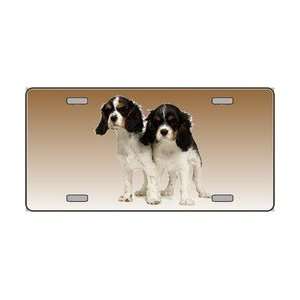   Dog Pet Novelty License Plates Full Color Photography License Plates P