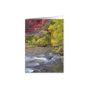 Blank Note Autumn Landscape River Rocks Trees Card Health 