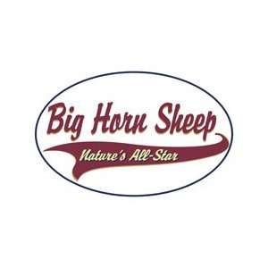 Big Horn Sheep Shirts