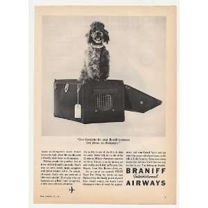  1961 Braniff Airways Georgette Poodle Dog Photo Print Ad 