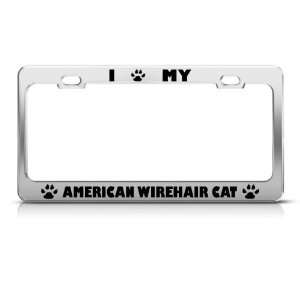  American Wirehair Cat Chrome Metal License Plate Frame Tag 