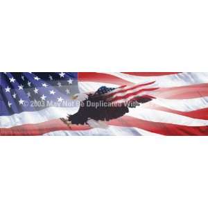   By ClearVue Graphics Window Graphic   16x54 Wings of Freedom Flag 2