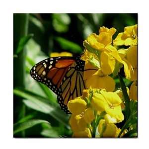   Butterfly Ceramic Tile Coaster Great Gift Idea
