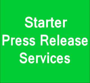 Basic Business Press Release Writing & Distribution  
