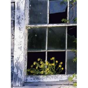  Broken Windowpane Giclee Poster Print