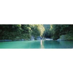 River in a Forest, Blue Pools, Mt Aspiring National Park, Otago Region 