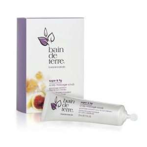  Bain De Terre Sugar & Fig Scalp Massage Scrub (.88 oz 