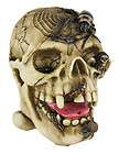 Creepy Worm Spider Pirate Skull Money Bank Coin  