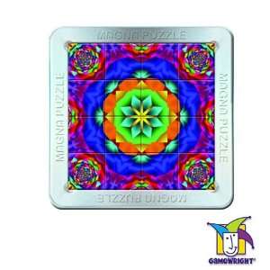   Optillusion Kaleidoscope Puzzle by Gamewright (4110 3) Toys & Games