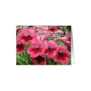  Romantic Red flowers   watermelon wine (cape primrose 