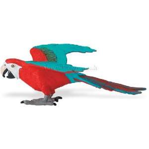  Green Winged Macaw Toys & Games