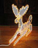 20 Rope Light 3D Reindeer Indoor/Outdoor Christmas Sitting Buck 