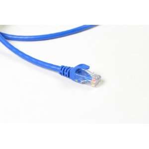   Ferari Molding   Internet/Patch/Ethernet/Cat5e Cable   10 ft   Blue