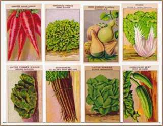72 Vintage French Veg Seed Packet Labels All Diffnt  