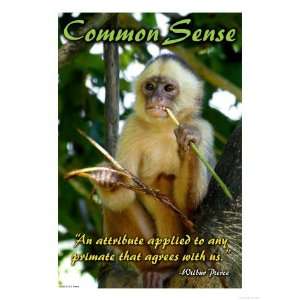 Common Sense Giclee Poster Print