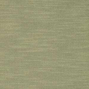  Fabricut Coben Basil 3293805