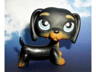 Littlest Pet Shop Black Dachshund LPS #325 Retired Weiner Dog Blue 