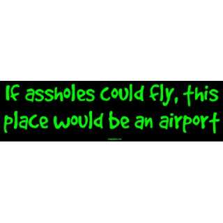   assholes could fly, this place would be an airport MINIATURE Sticker