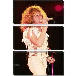  Roger Daltrey of The Who 1976 Photographic Canvas Art 