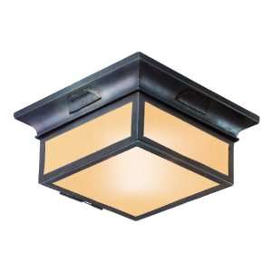  Troy Lighting 2 Light Newton Fluorescent Flush Mount 