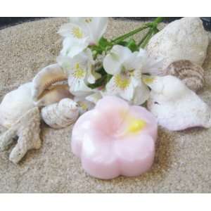  North Shore Natural Soap * Hawaii Hibiscus Flower 3 Bars 