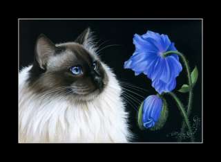 Ragdoll Cat Print Blue Poppy by I Garmashova  