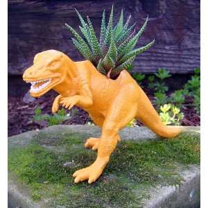  Allie Allosaurus Dinosaur Planter + Live Plant   Easy to 