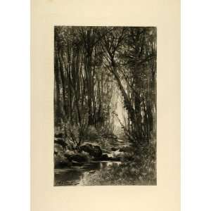   Rivulet Stream Auguste Allonge   Original Lithograph